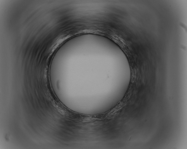 X0000092040098200710101005