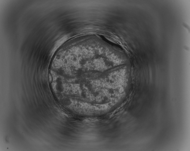 X0000092040099200710101005