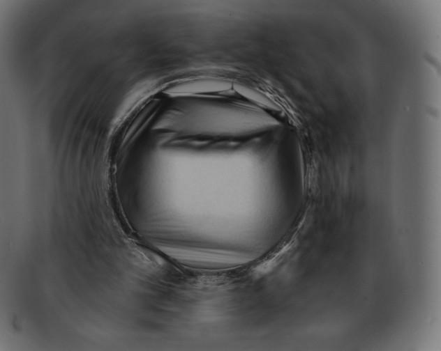 X0000092040101200710101005