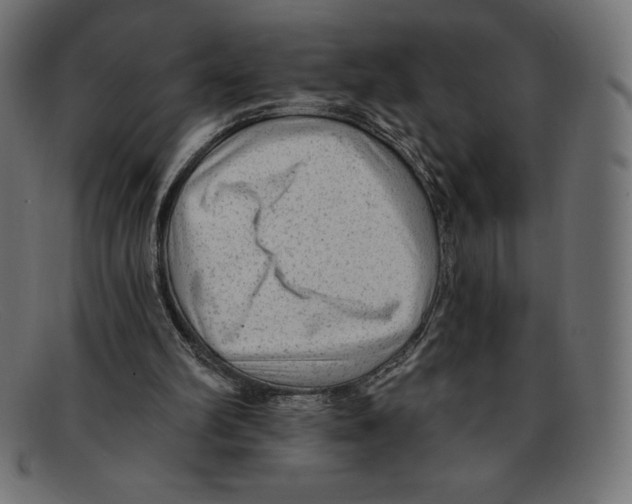 X0000092040102200710101005