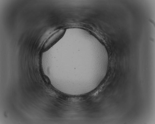 X0000092040103200710101005