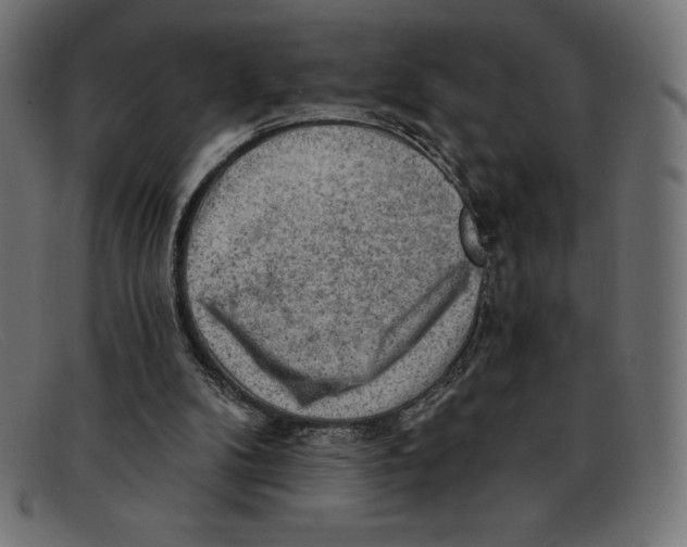 X0000092040104200710101005