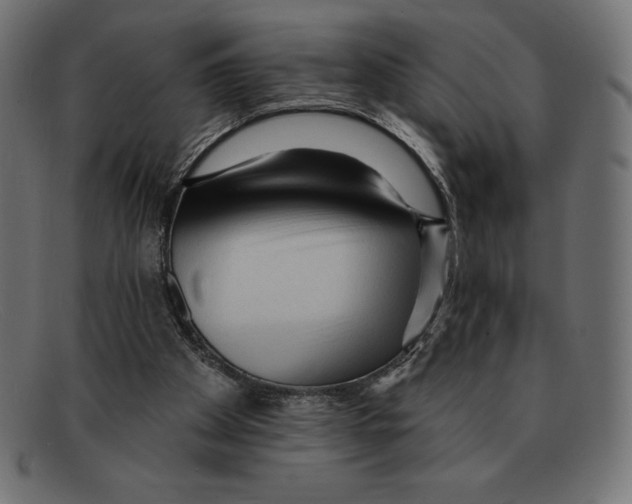 X0000092040105200710101005