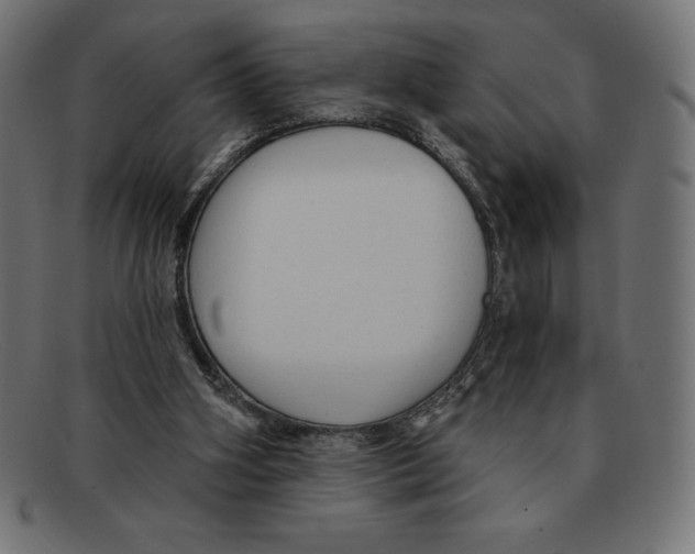 X0000092040106200710101005