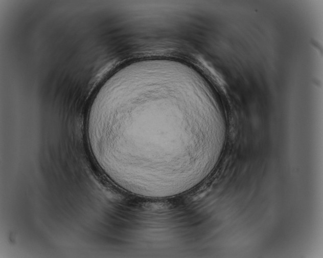 X0000092040107200710101005