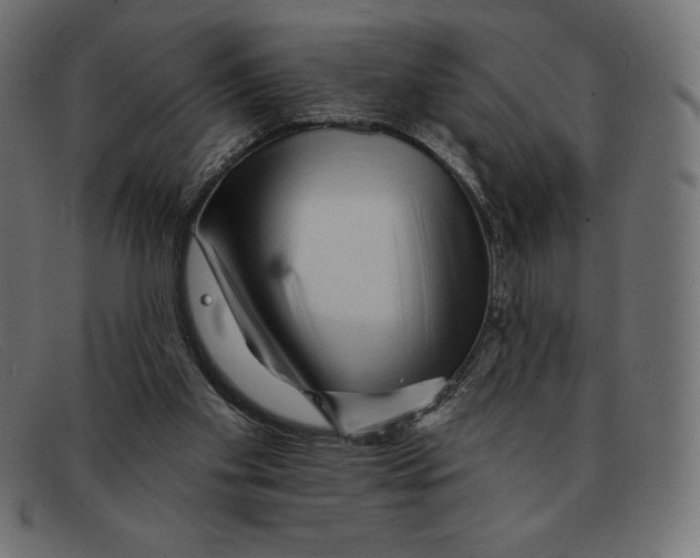 X0000092040109200710101004