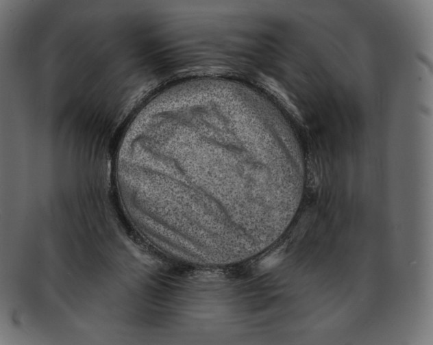 X0000092040110200710101004