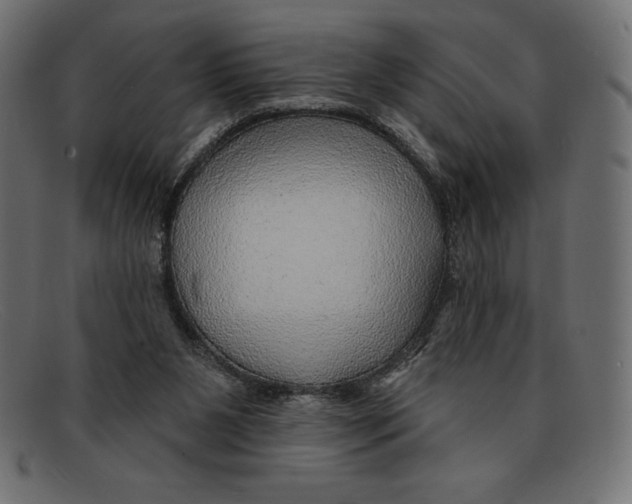 X0000092040111200710101004