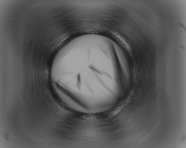 X0000092040113200710101004