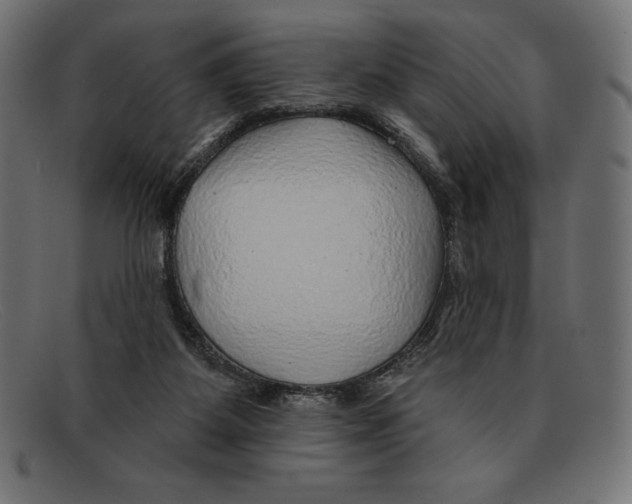 X0000092040115200710101004