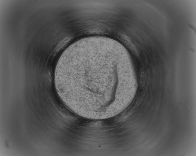 X0000092040116200710101004