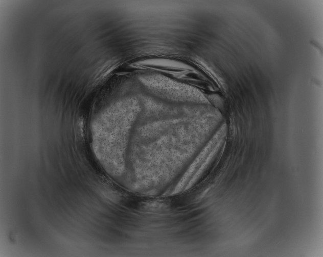 X0000092040117200710101004