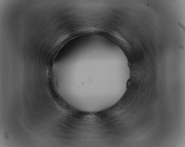 X0000092040119200710101004