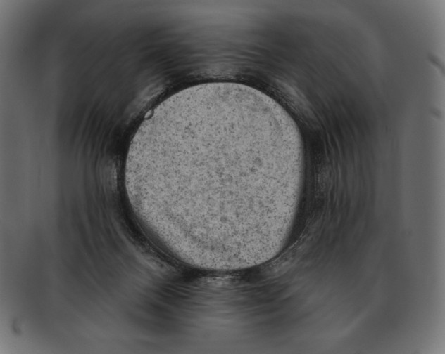 X0000092040120200710101004