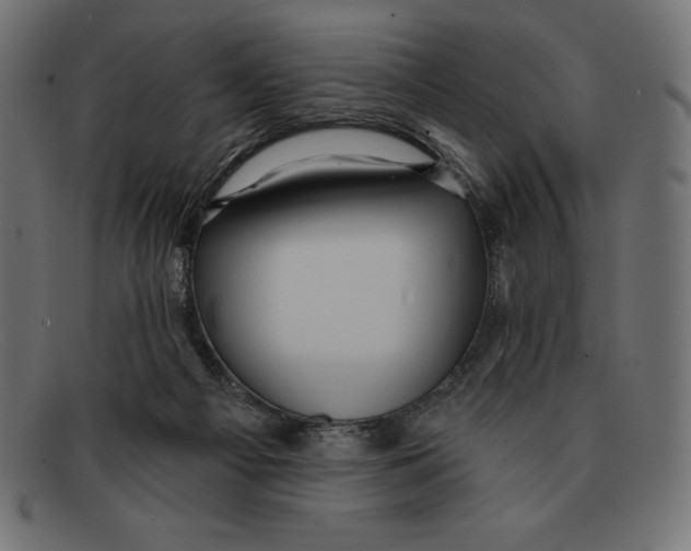 X0000092040121200710101004