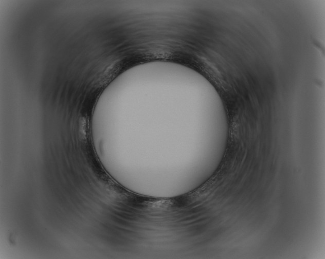 X0000092040122200710101004