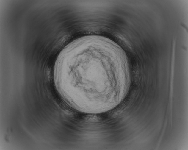 X0000092040123200710101004