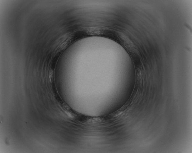 X0000092040125200710101004