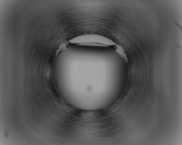 X0000092040129200710101004