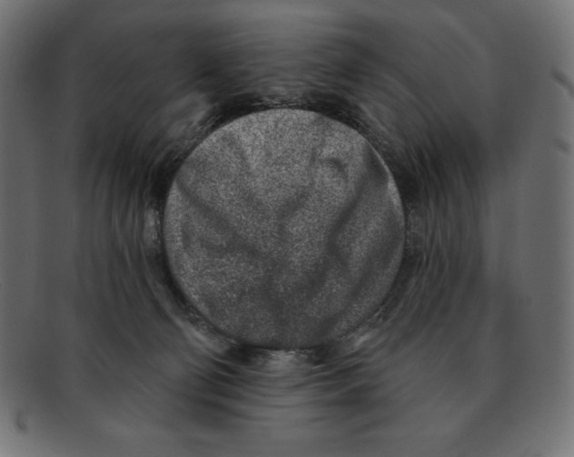 X0000092040130200710101004