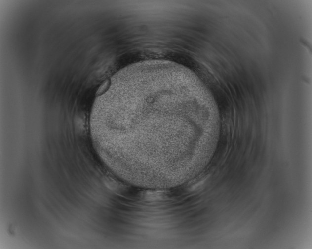 X0000092040134200710101004