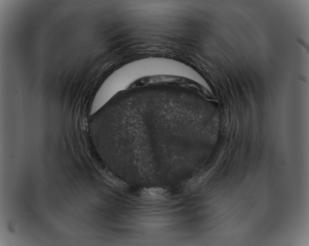 X0000092040137200710101004