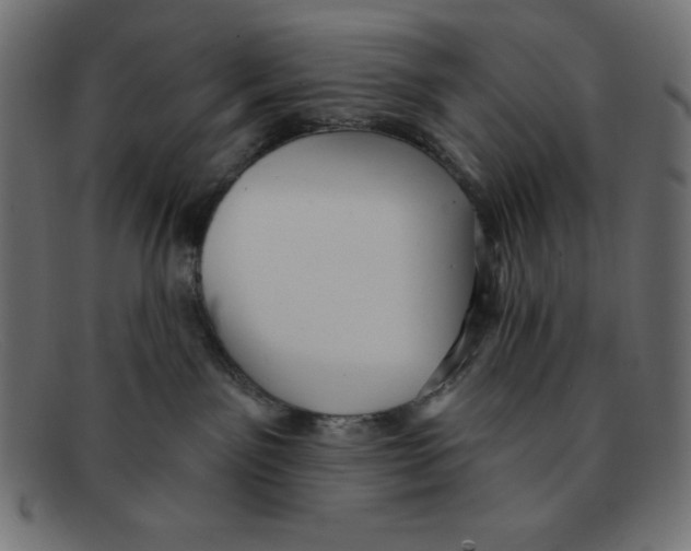 X0000092040141200710101004