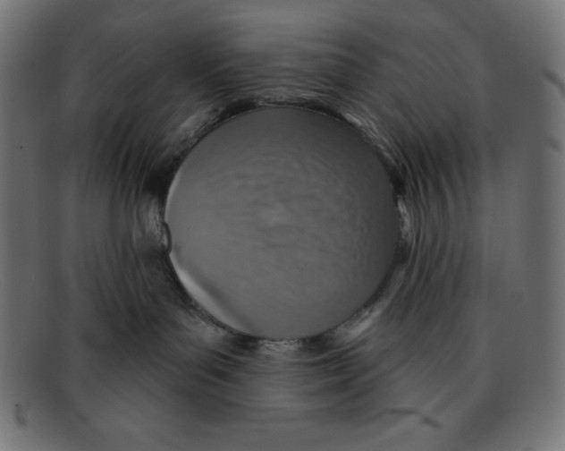 X0000092040143200710101004