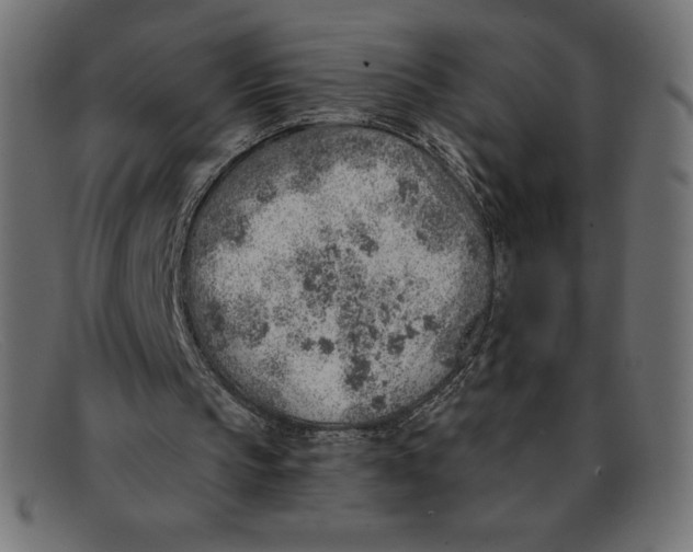 X0000092040145200710101004