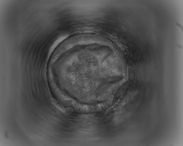 X0000092040147200710101004