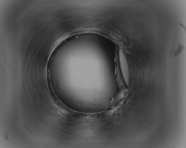 X0000092040148200710101004