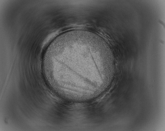 X0000092040149200710101004