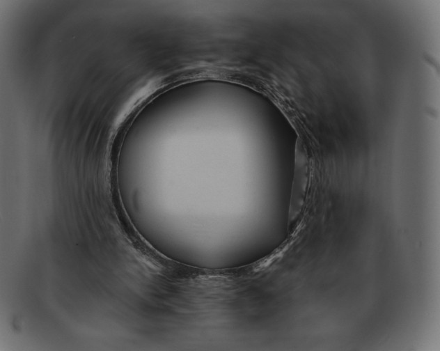 X0000092040150200710101004