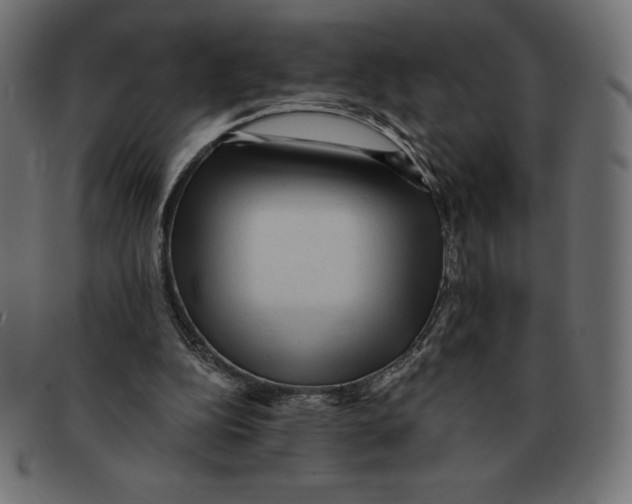 X0000092040152200710101004