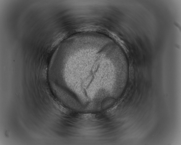 X0000092040153200710101004