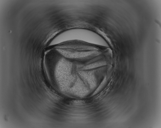 X0000092040154200710101004