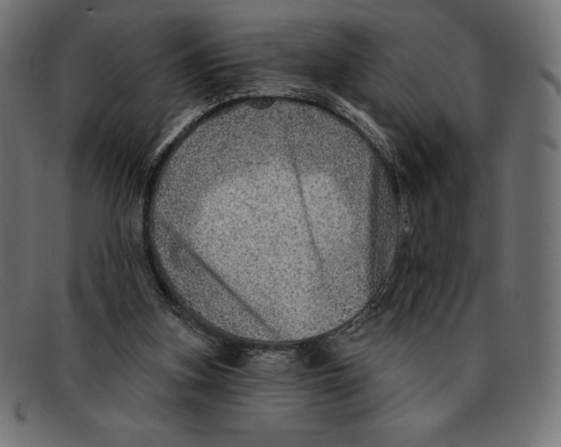 X0000092040155200710101004