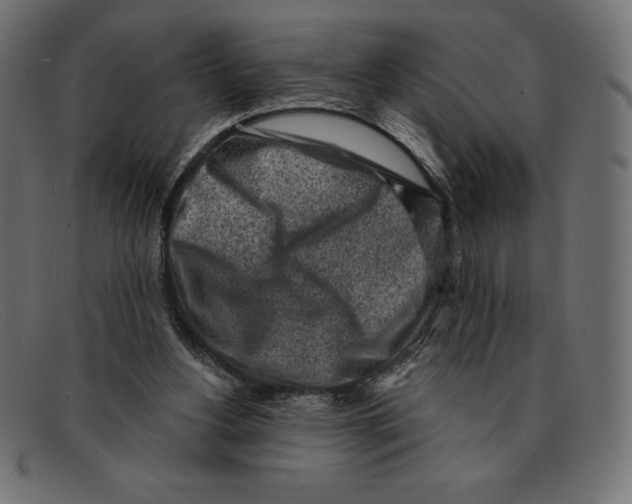 X0000092040156200710101004