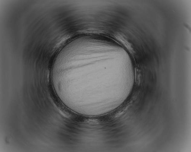 X0000092040157200710101004