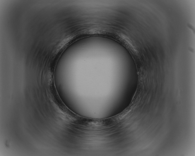 X0000092040164200710101004