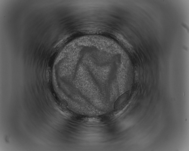 X0000092040165200710101004