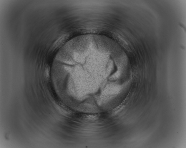 X0000092040166200710101004