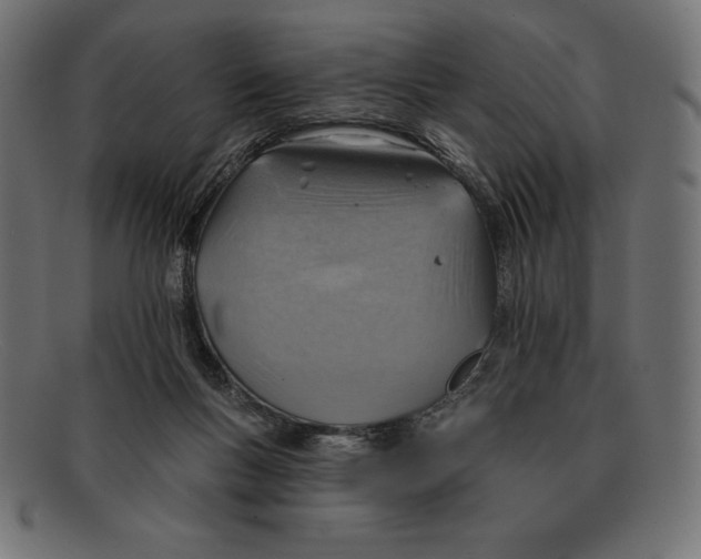 X0000092040167200710101004