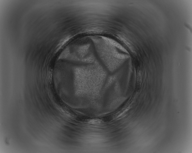 X0000092040168200710101004