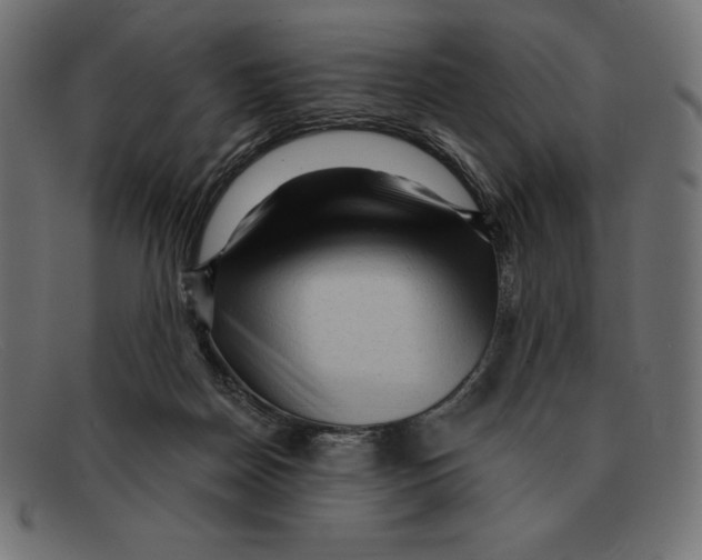 X0000092040170200710101004