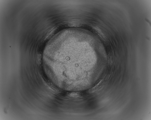 X0000092040171200710101004