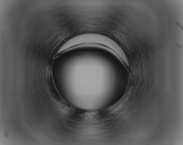 X0000092040172200710101004