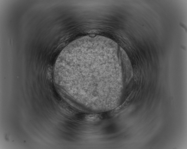 X0000092040175200710101004