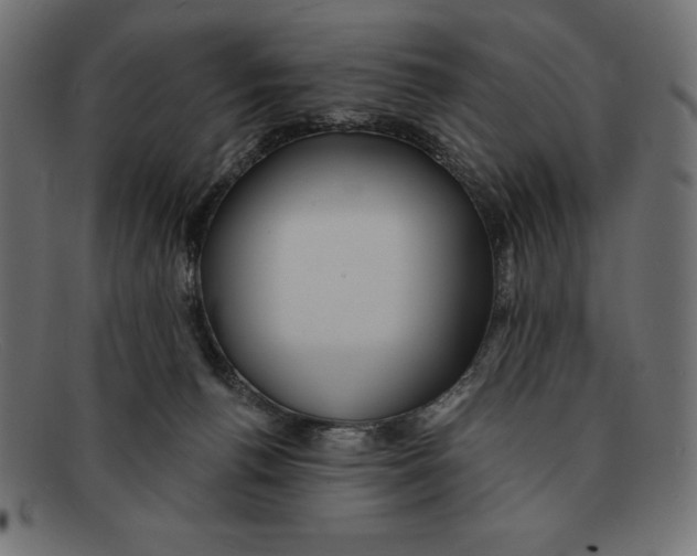 X0000092040176200710101004