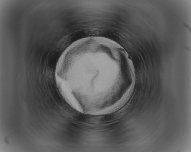 X0000092040178200710101004